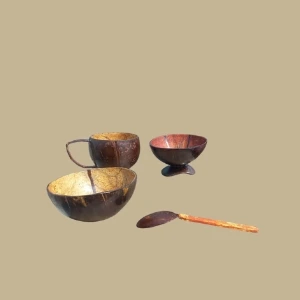 Handcrafted Coconut Shell & Wood Bowl – Eco-Friendly Natural Homeware