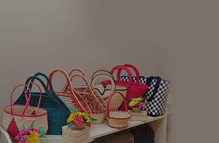 bg image expogoodsbd